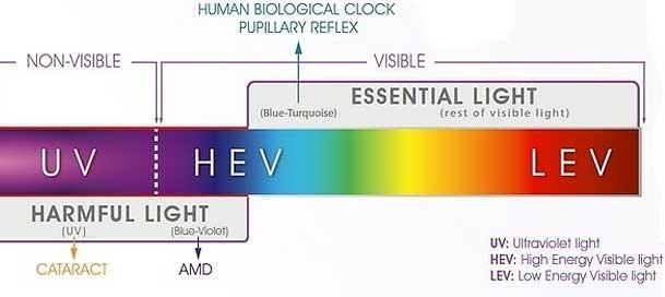 UV-light-HEV-light-LEV-light