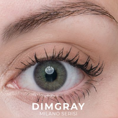 Labella Milano Dimgray renkli kontakt lens — gözde görünümü